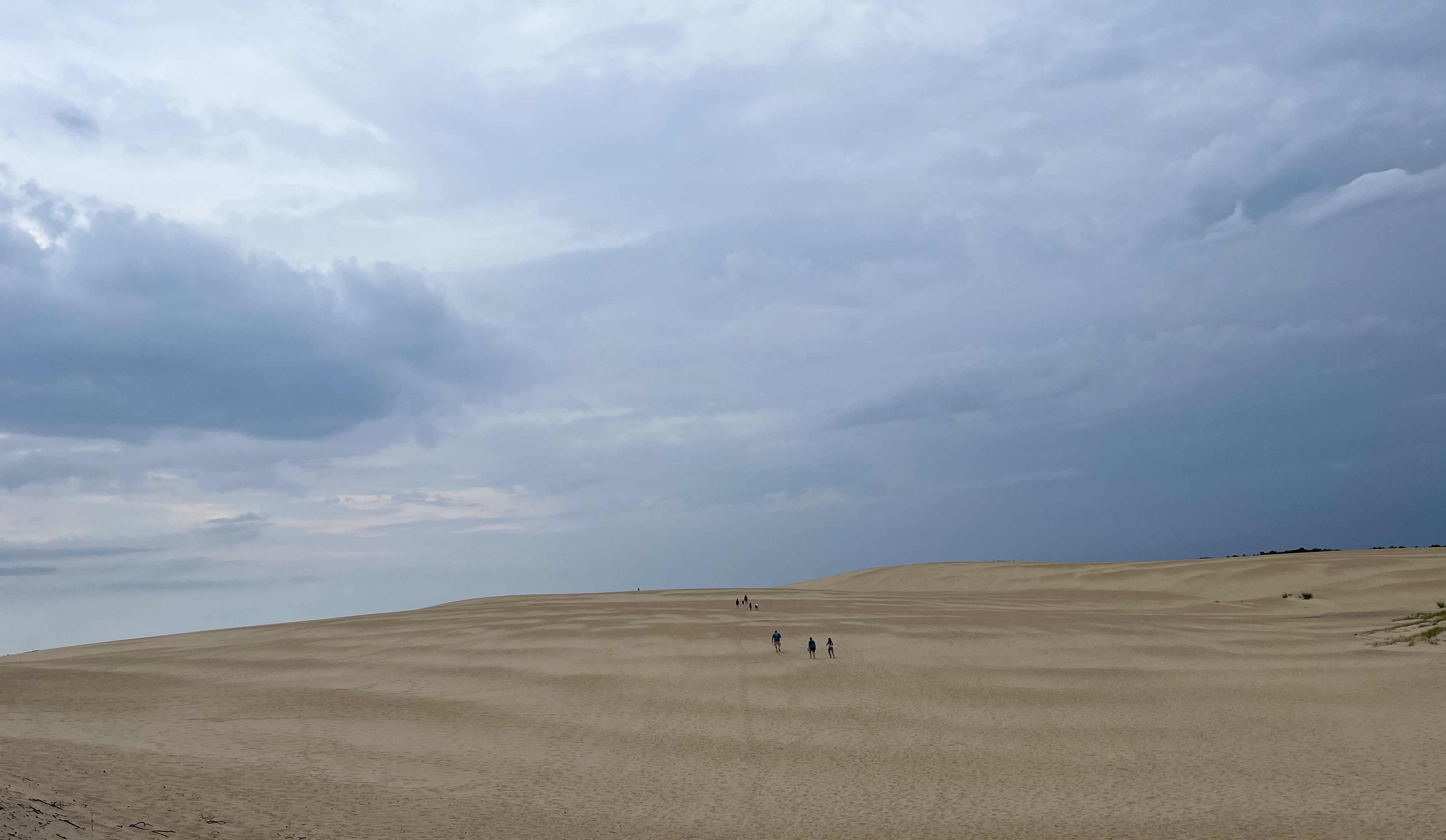 Jockey's Ridge State Park